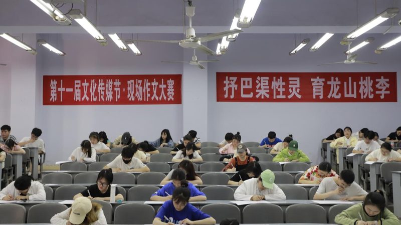 品牌策划方案：解码其优缺点，助力企业精准决策